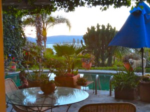 The view from my "new" work table chair. Looks like Frida sneaked into the picture as well!