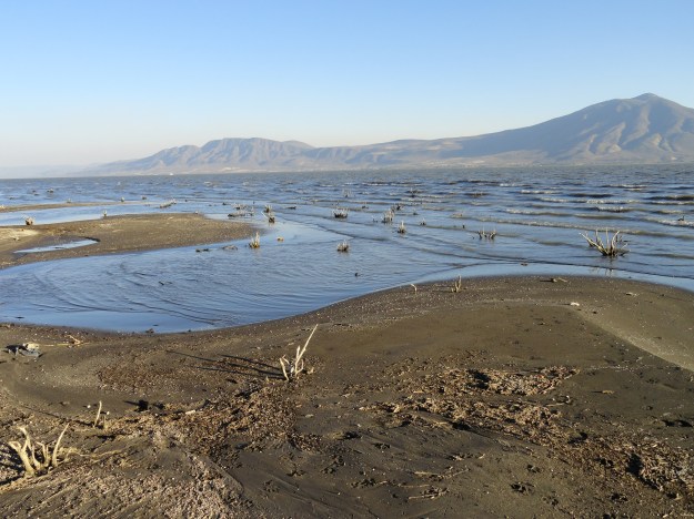 new serpentine shoreline
