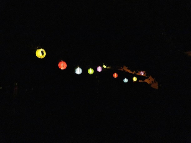 These Chinese Lanterns are solar and await the darkness to shine!