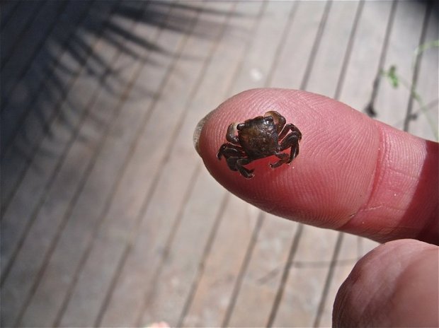 195978_1579280328637_6938137_n