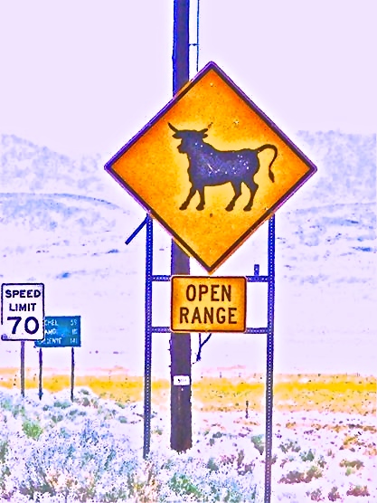 291127_1935560355415_2268499_o