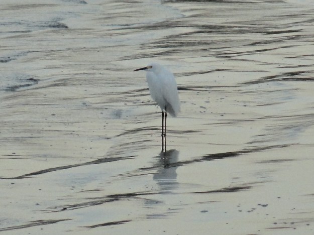 DSC00153 - Version 3