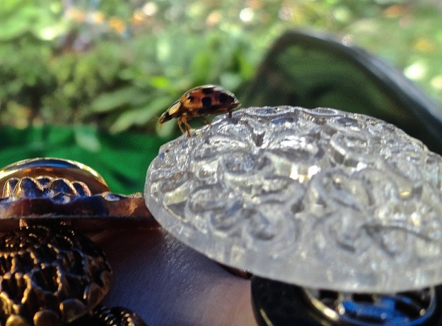 DSC08396 - Version 2