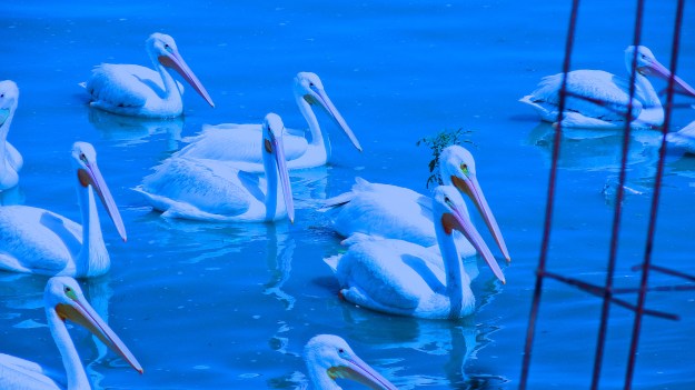 DSC08799 - Version 2