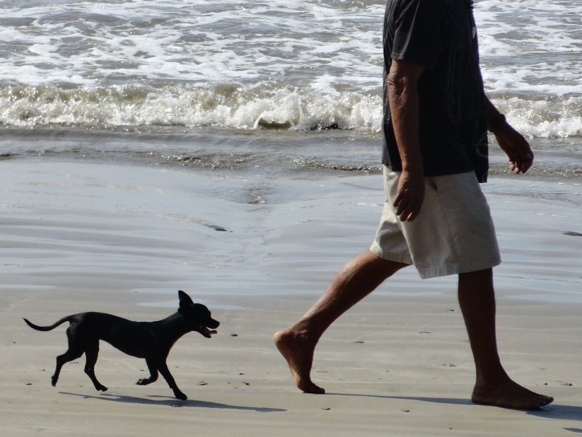 DSC00043 - Version 2