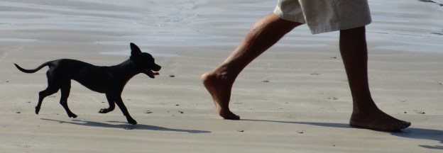 DSC00043 - Version 2