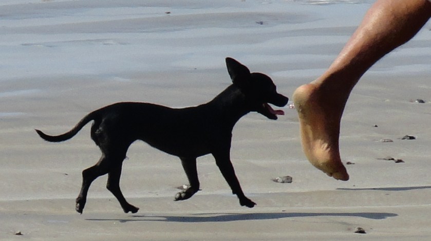 I love it in this photo that not one foot is on the ground!