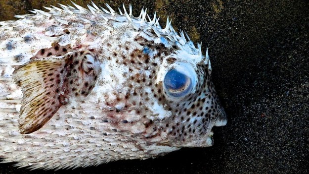 DSC00416 - Version 2_2