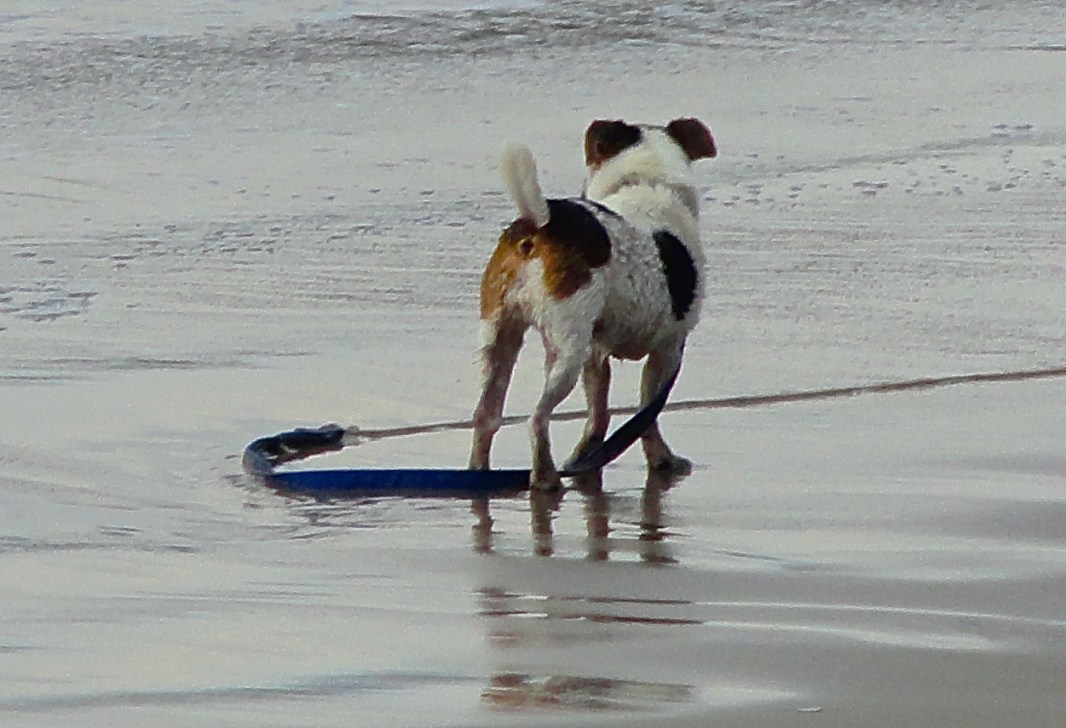 DSC00623 - Version 2