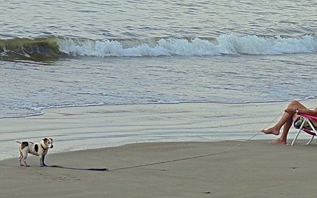 DSC00627 - Version 5