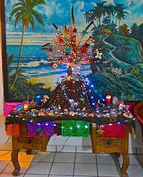 This is the tree in daylight. Palm fruiting stem covered in heart-shaped rocks and shells found on the beach, pelican feathers and flowers I made out of painted egg cartons.