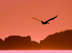 P2220114 - Version 2