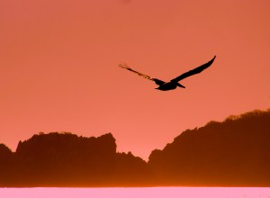 P2220114 - Version 2