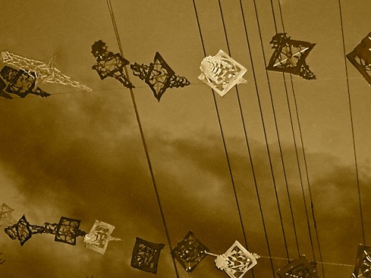 DSC00001 - Version 2