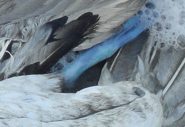 DSC00285 - Version 3