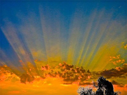 DSC08440 - Version 2