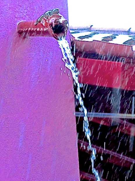 DSC08898 - Version 2