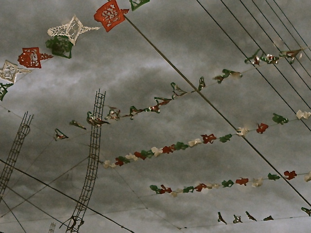 DSC09997 - Version 2