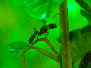 DSCF1865 - Version 2