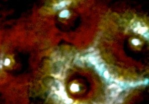 DSC00092 - Version 2