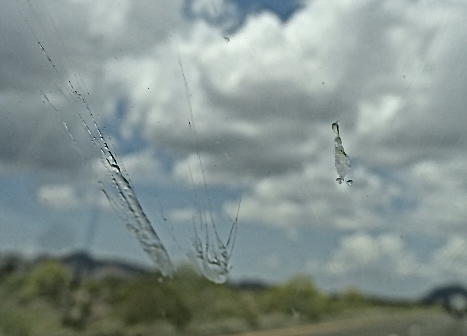 DSC00249 - Version 2