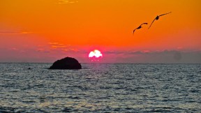 DSC00806 - Version 2