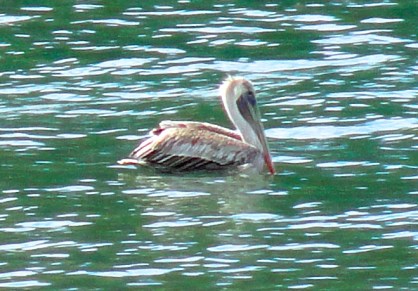 DSC09360 - Version 2