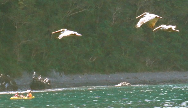 DSC09549 - Version 2