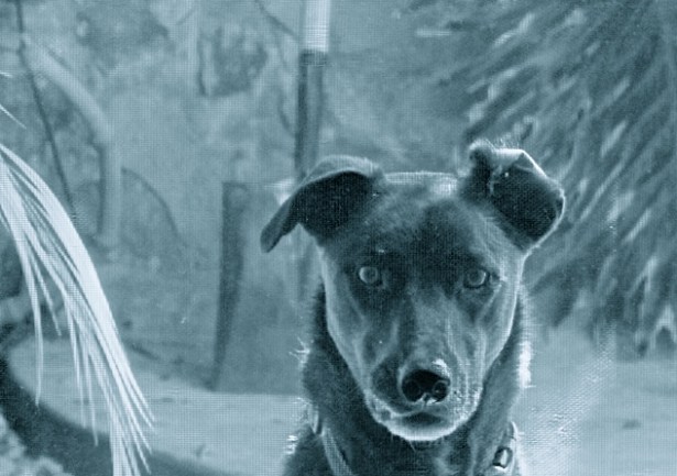 DSC09994 - Version 2