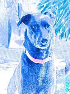 DSC09995 - Version 2