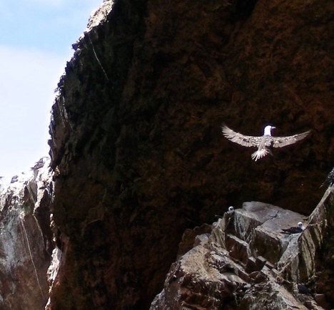 DSCF1151 - Version 4