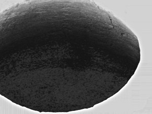 DSCF1383 - Version 2