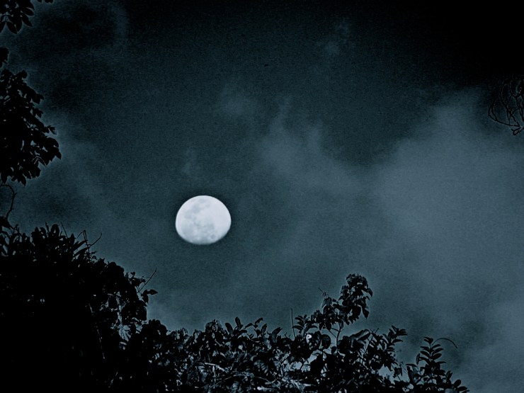 DSCF1981 - Version 9