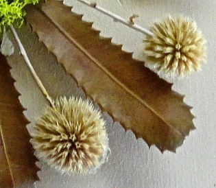 DSC00086 - Version 6