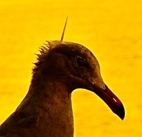 DSC00146 - Version 2