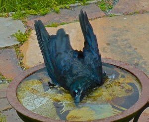 DSC00299 - Version 3