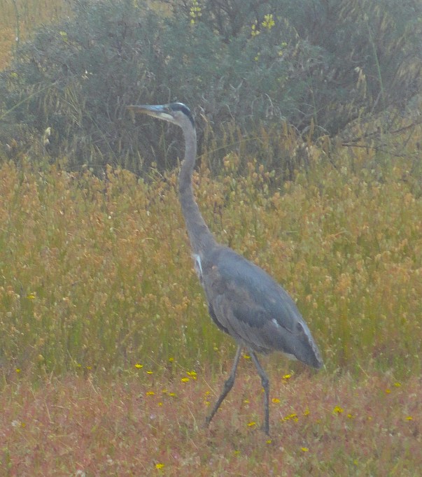 DSC00648 - Version 2