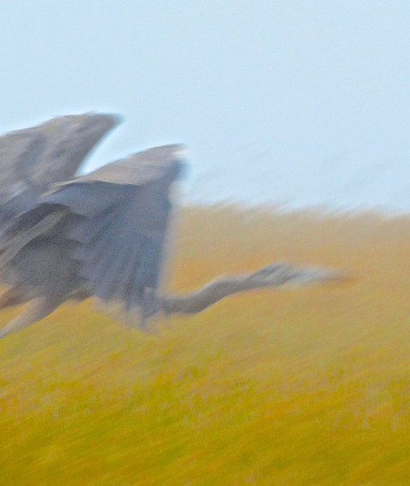 DSC00657 - Version 2