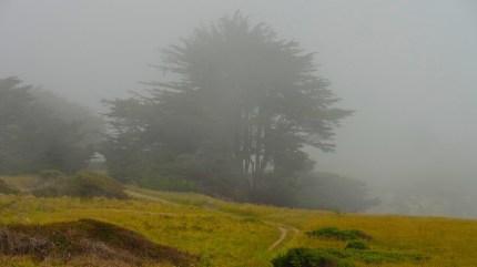 DSC00672 - Version 2