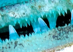 DSC09760 - Version 2