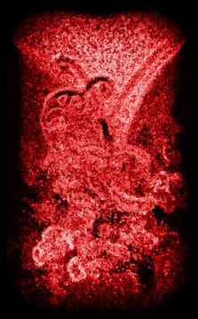 This strange object that looks like a meteorite or piece of carved Cinnabar is actually a dahlia. I just edited and edited until this was the end result.. It is rather beautiful, I think, so I'm including it. I think it looks like two hooded women standing back-to-back.