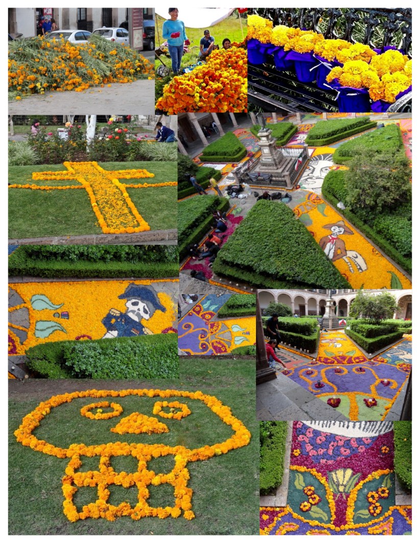 Marigold Collage