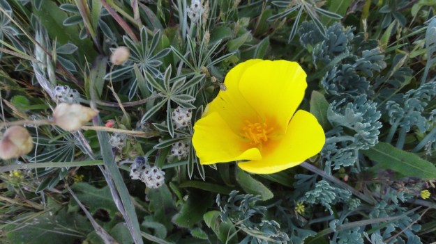 DSC00442 - Version 3