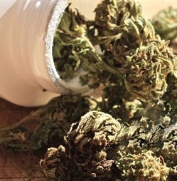 Prescription-Marijuana-Drugs-Joint-Bottle (1)