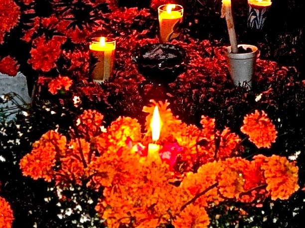 DSC08971 - Version 2