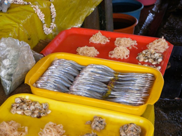 DSCF1509 - Version 2