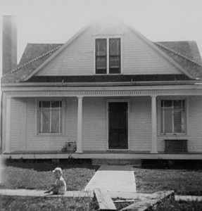 daily life color090 (1)