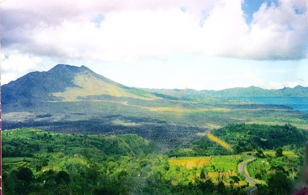 daily life  color095 (1)