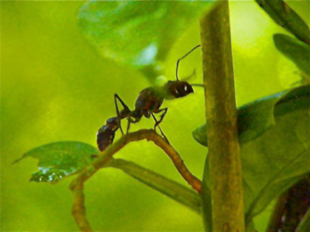 DSCF1865 - Version 3