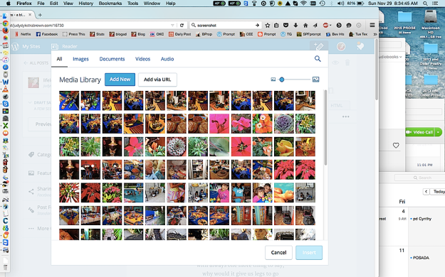 Screen Shot 2015-11-29 at 8.34.45 AM